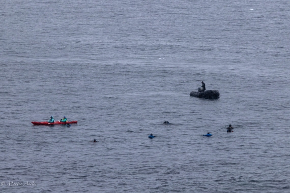 PLA28-26, Day 4, 0Q9A7768 © Martin Anstee - Oceanwide Expeditions.jpg