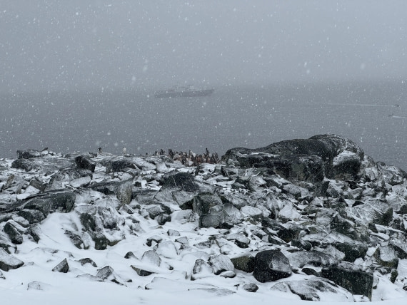 PLA28-26, Day 4, IMG_1358 © Unknown photographer - Oceanwide Expeditions.JPG