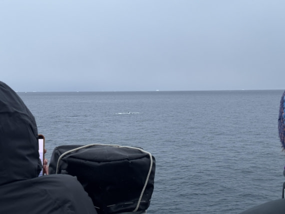 PLA28-26, Day 4, IMG_1384 © Unknown photographer - Oceanwide Expeditions.JPG