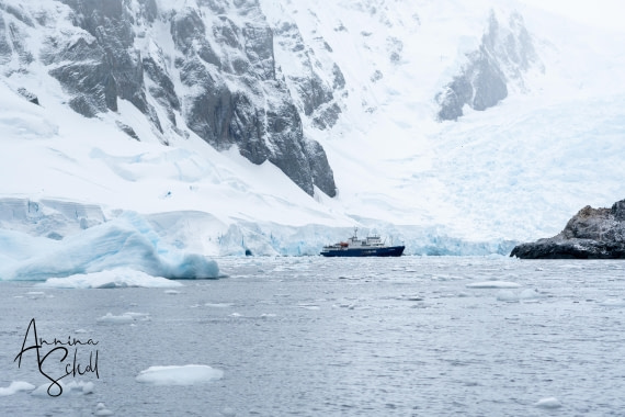 PLA28-26, Day 5, DSC06762 © Annina Scholl - Oceanwide Expeditions.jpg