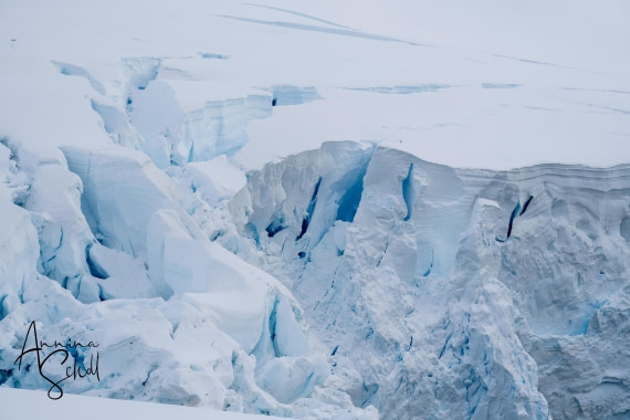 PLA28-26, Day 5, DSC07075 © Annina Scholl - Oceanwide Expeditions.jpg