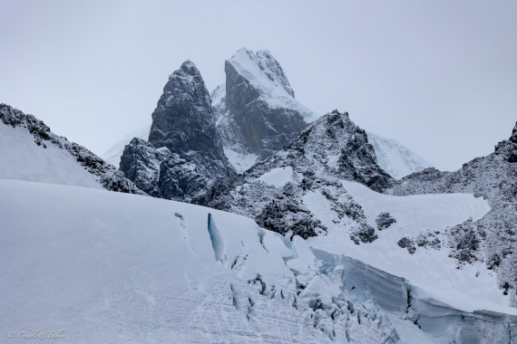 PLA28-26, Day 5, FZ1A8494 © Charlotte Taplin - Oceanwide Expeditions.jpg