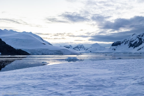 PLA28-26, Day 5, FZ1A8708 © Charlotte Taplin - Oceanwide Expeditions.jpg