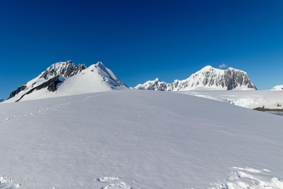 PLA28-26, Day 6, 095A5699 © Martin Anstee - Oceanwide Expeditions.jpg