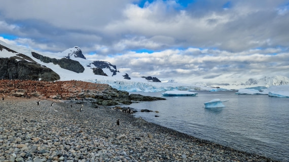 PLA28-26, Day 6, 20260211_081829 © Unknown photographer - Oceanwide Expeditions.jpg