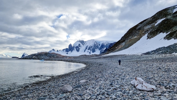 PLA28-26, Day 6, 20260211_081836 © Unknown photographer - Oceanwide Expeditions.jpg