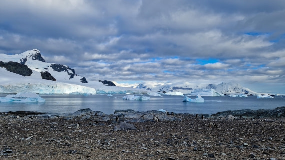 PLA28-26, Day 6, 20260211_083310 © Unknown photographer - Oceanwide Expeditions.jpg