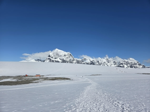 PLA28-26, Day 6, 20260211_162510 © Unknown photographer - Oceanwide Expeditions.jpg