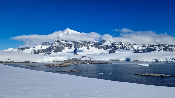 PLA28-26, Day 6, 20260211_172212 © Unknown photographer - Oceanwide Expeditions.jpg