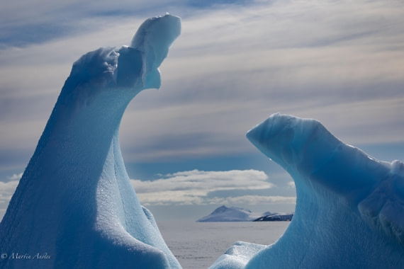 PLA28-26, Day 7, 0Q9A8740 © Martin Anstee - Oceanwide Expeditions.jpg