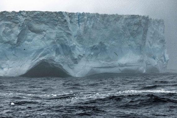 OTL29a26, Day 4, Picture2.jpg © Unknown photographer - Oceanwide Expeditions.jpg