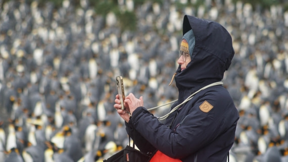 OTL29a26, Day 5, DSC03971.JPG © Jess Owen - Oceanwide Expeditions.JPG