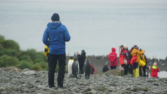 OTL29a26, Day 5, DSC03992.JPG © Jess Owen - Oceanwide Expeditions.JPG