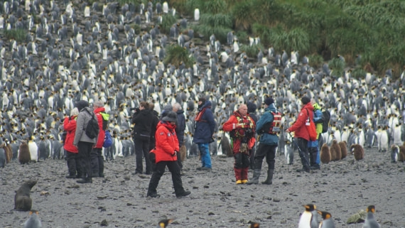 OTL29a26, Day 5, DSC04000.JPG © Jess Owen - Oceanwide Expeditions.JPG