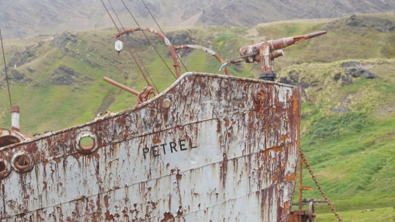 OTL29a26, Day 7, DSC04127.JPG © Jess Owen - Oceanwide Expeditions.JPG