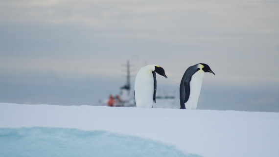 OTL29a26, Day 13, DSC04473.JPG © Jess Owen - Oceanwide Expeditions.JPG