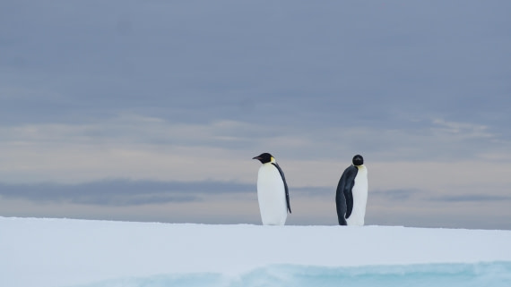 OTL29a26, Day 13, DSC04500.JPG © Jess Owen - Oceanwide Expeditions.JPG