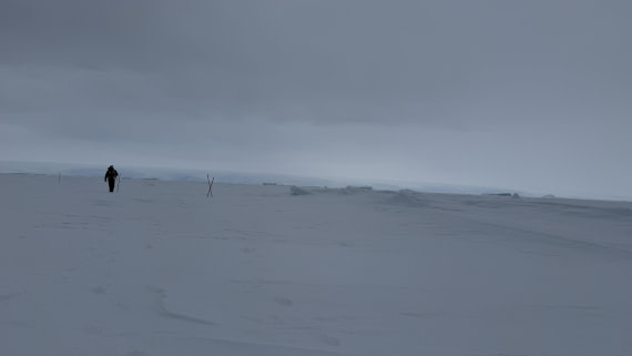 OTL29a26, Day 16, IMG_4925.jpg © Unknown photographer - Oceanwide Expeditions.jpg