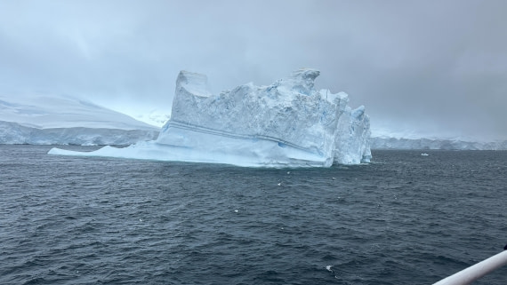 OTL30a26, Day 4, IMG_0189.JPG © Unknown Photographer - Oceanwide Expeditions.JPG