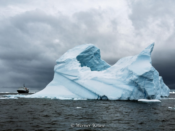 OTL30a26, Day 4, Salmon Cove_IMG_4918.jpg © Werner Kruse - Oceanwide Expeditions.jpg