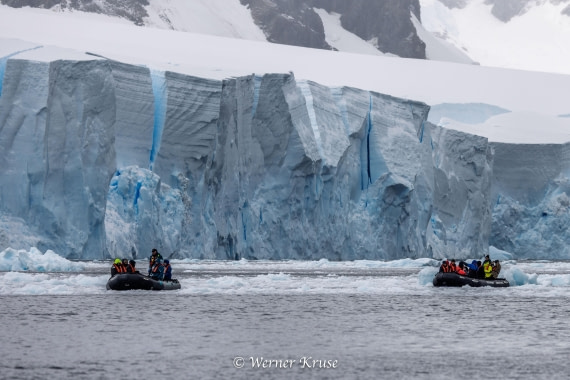 OTL30a26, Day 4, Salmon Cove_WKR52185.jpg © Werner Kruse - Oceanwide Expeditions.jpg