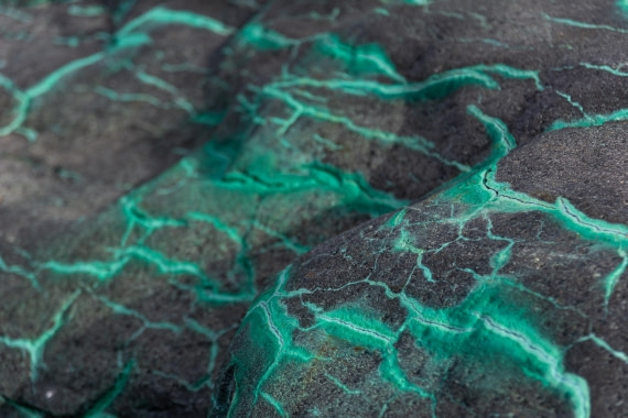 OTL30a26, Day 5, _DSC2575.jpg © Unknown Photographer - Oceanwide Expeditions.jpg