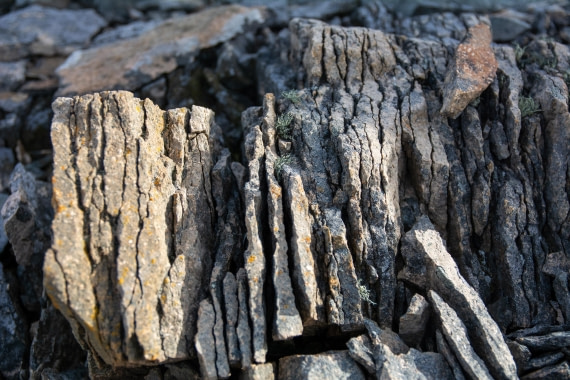 OTL30a26, Day 5, _DSC2581.jpg © Unknown Photographer - Oceanwide Expeditions.jpg