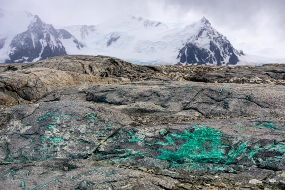 OTL30a26, Day 5, _DSC2583.jpg © Unknown Photographer - Oceanwide Expeditions.jpg