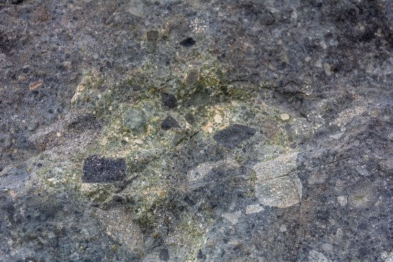 OTL30a26, Day 5, _DSC2588.jpg © Unknown Photographer - Oceanwide Expeditions.jpg