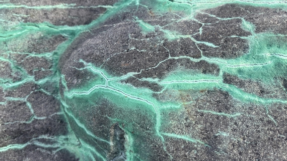 OTL30a26, Day 5, IMG_0197.JPG © Unknown Photographer - Oceanwide Expeditions.JPG