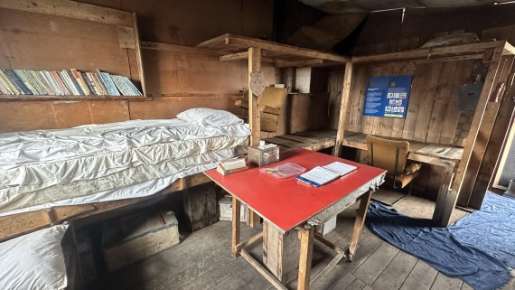 OTL30a26, Day 5, IMG_0208.JPG © Unknown Photographer - Oceanwide Expeditions.JPG