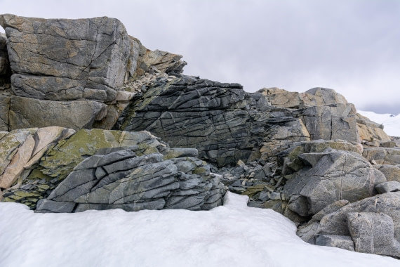 OTL30a26, Day 6, _DSC2592.jpg © Unknown Photographer - Oceanwide Expeditions.jpg