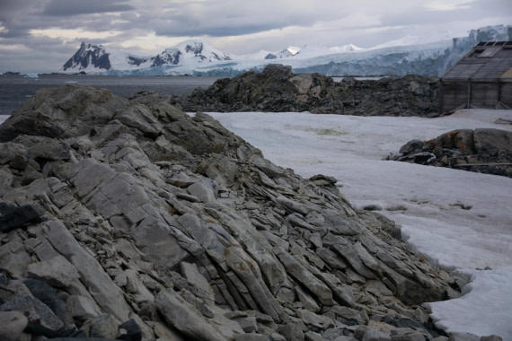 OTL30a26, Day 6, _DSC2599.jpg © Unknown Photographer - Oceanwide Expeditions.jpg