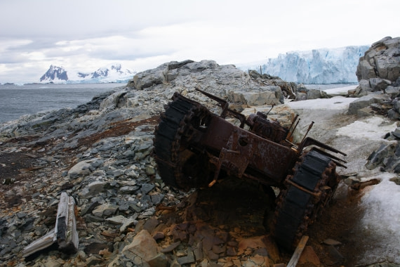 OTL30a26, Day 6, _DSC2604.jpg © Unknown Photographer - Oceanwide Expeditions.jpg