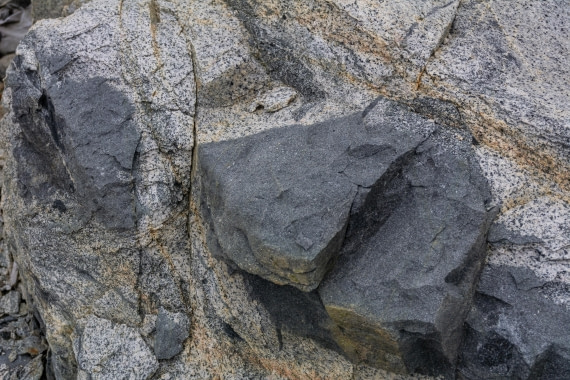 OTL30a26, Day 6, _DSC2605.jpg © Unknown Photographer - Oceanwide Expeditions.jpg