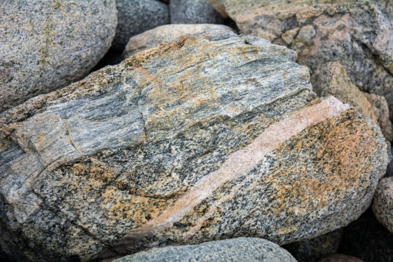 OTL30a26, Day 6, _DSC2618.jpg © Unknown Photographer - Oceanwide Expeditions.jpg