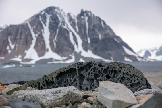 OTL30a26, Day 6, _DSC2626.jpg © Unknown Photographer - Oceanwide Expeditions.jpg