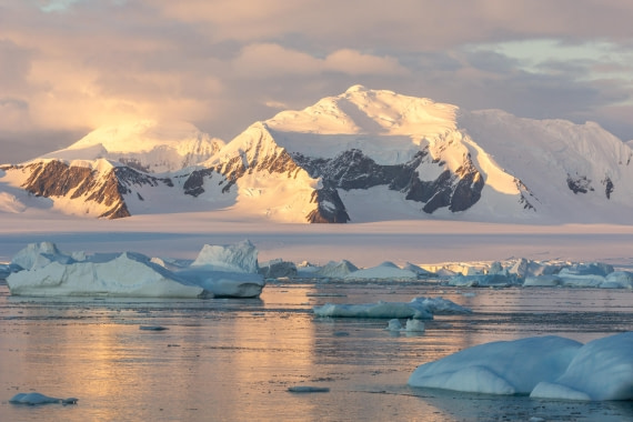 OTL30a26, Day 7, _DSC2643.jpg © Unknown Photographer - Oceanwide Expeditions.jpg