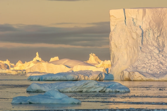 OTL30a26, Day 7, _DSC2646.jpg © Unknown Photographer - Oceanwide Expeditions.jpg