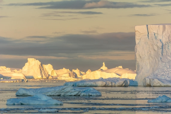 OTL30a26, Day 7, _DSC2650.jpg © Unknown Photographer - Oceanwide Expeditions.jpg