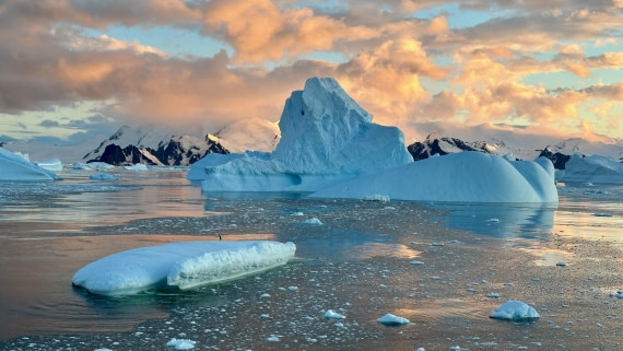 OTL30a26, Day 7, IMG_9131.jpeg © Allan White - Oceanwide Expeditions.jpeg