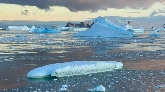 OTL30a26, Day 7, IMG_9138.jpeg © Allan White - Oceanwide Expeditions.jpeg