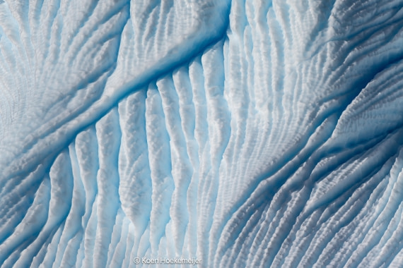 OTL30a26, Day 8, DSC_1310-Edit.jpg © Jess Owens - Oceanwide Expeditions.jpg