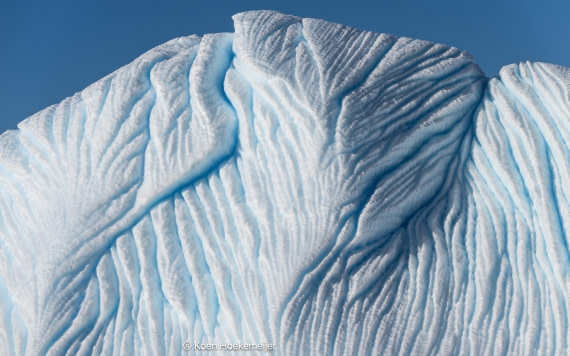 OTL30a26, Day 8, DSC_1329.jpg © Jess Owens - Oceanwide Expeditions.jpg