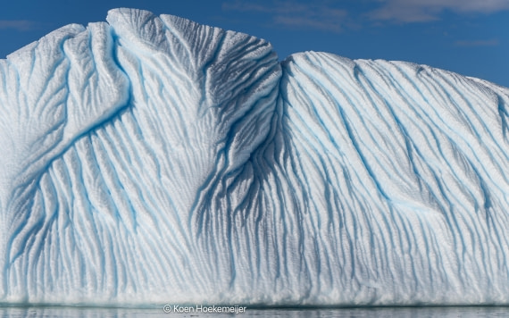 OTL30a26, Day 8, DSC_1340.jpg © Jess Owens - Oceanwide Expeditions.jpg