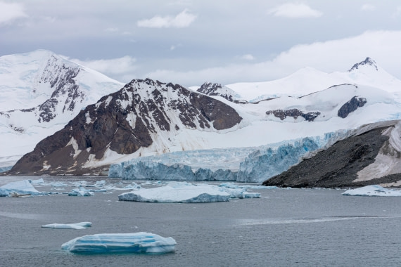 OTL30a26, Day 9, _DSC2723.jpg © Unknown Photographer - Oceanwide Expeditions.jpg