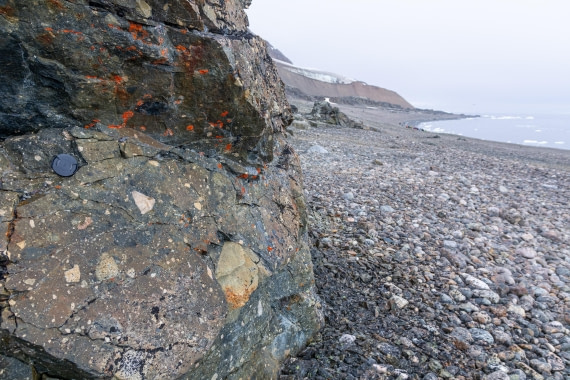 OTL30a26, Day 9, _DSC2739.jpg © Unknown Photographer - Oceanwide Expeditions.jpg