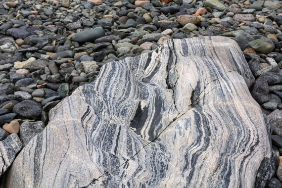 OTL30a26, Day 9, _DSC2746.jpg © Unknown Photographer - Oceanwide Expeditions.jpg