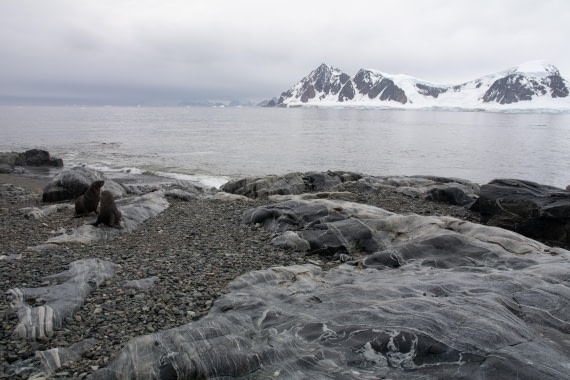 OTL30a26, Day 9, _DSC2750.jpg © Unknown Photographer - Oceanwide Expeditions.jpg