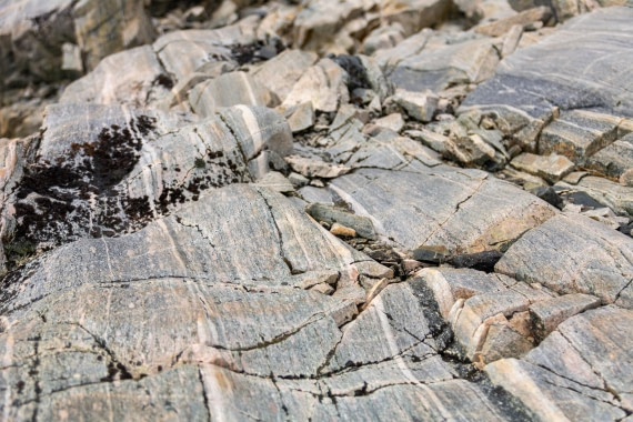 OTL30a26, Day 9, _DSC2752.jpg © Unknown Photographer - Oceanwide Expeditions.jpg